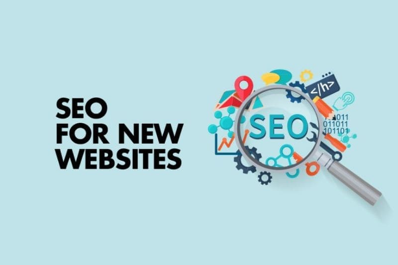 Dịch vụ cố vấn seo MPD